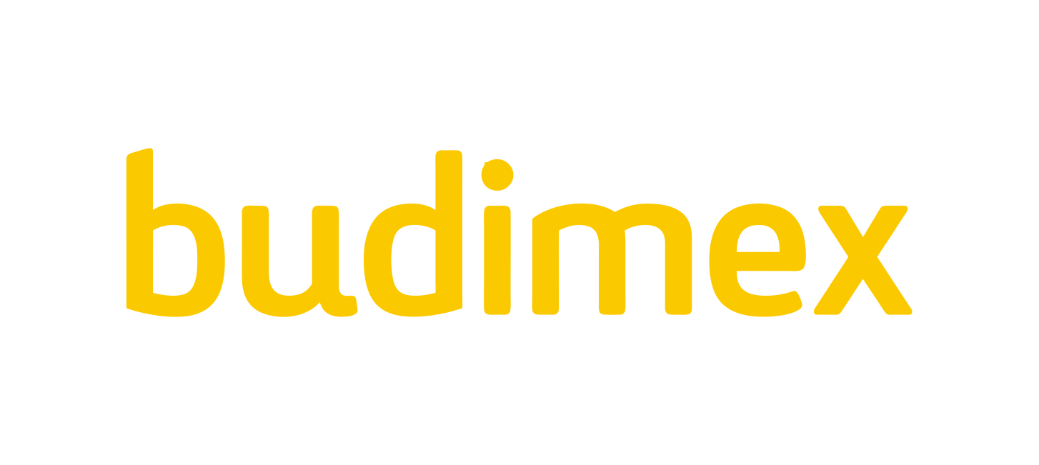 logo budimex s a