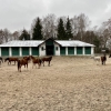 Wycieczka dydaktyczna do stadniny koni w Janowie Podlaskim i Muzeum Rolnictwa w Ciechanowcu