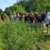 Architekci krajobrazu na wycieczce dydaktycznej w Podlaskim Ogrodzie Botanicznym 