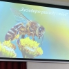 Życiodajne pszczoły i miód