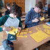 Akcja Żonkile 2025 w Śniadeckim
