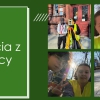Prezentacja wyników międzyprzedmiotowych projektów edukacyjnych