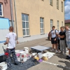 Warsztaty z firmą Baumit – nauka przez działanie