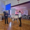 Wykład na temat żywienia zwierząt – technik weterynarii