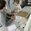 Warsztaty dla uczniów klas ósmych