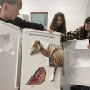 Pierwsze dostawy sprzętu w ramach projektu: Umiejętności drogą do sukcesu zawodowego uczniów Zespołu Szkół nr 1 im. Jędrzeja Śniadeckiego w Ełku cz. II