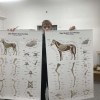 Pierwsze dostawy sprzętu w ramach projektu: Umiejętności drogą do sukcesu zawodowego uczniów Zespołu Szkół nr 1 im. Jędrzeja Śniadeckiego w Ełku cz. II