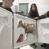 Pierwsze dostawy sprzętu w ramach projektu: Umiejętności drogą do sukcesu zawodowego uczniów Zespołu Szkół nr 1 im. Jędrzeja Śniadeckiego w Ełku cz. II