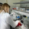 Umiejętności drogą do sukcesu zawodowego uczniów - Technik Analityk
