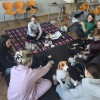 Umiejętności drogą do sukcesu zawodowego uczniów - Kurs pierwszej pomocy przedweterynaryjnej