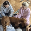 Umiejętności drogą do sukcesu zawodowego uczniów - Kurs pierwszej pomocy przedweterynaryjnej