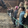 Nasza weterynaria w Ratowie - mała grupa, wielka lekcja