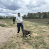 Tam, gdzie liczy się serce - wizyta w Schronisku „Sonieczkowo”